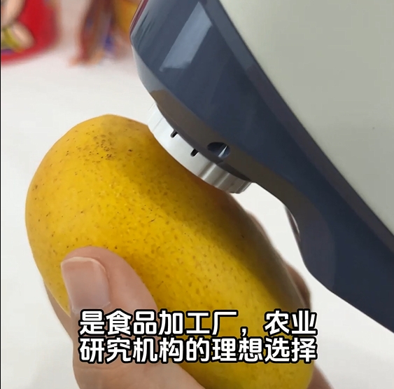 YS3060分光測(cè)色儀在芒果顏色色差測(cè)量中的應(yīng)用
