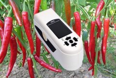 色差儀測(cè)定辣椒顏色變化