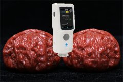 色差儀檢測文玩核桃的顏色